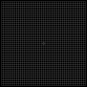 amsler grid test amsler grid test