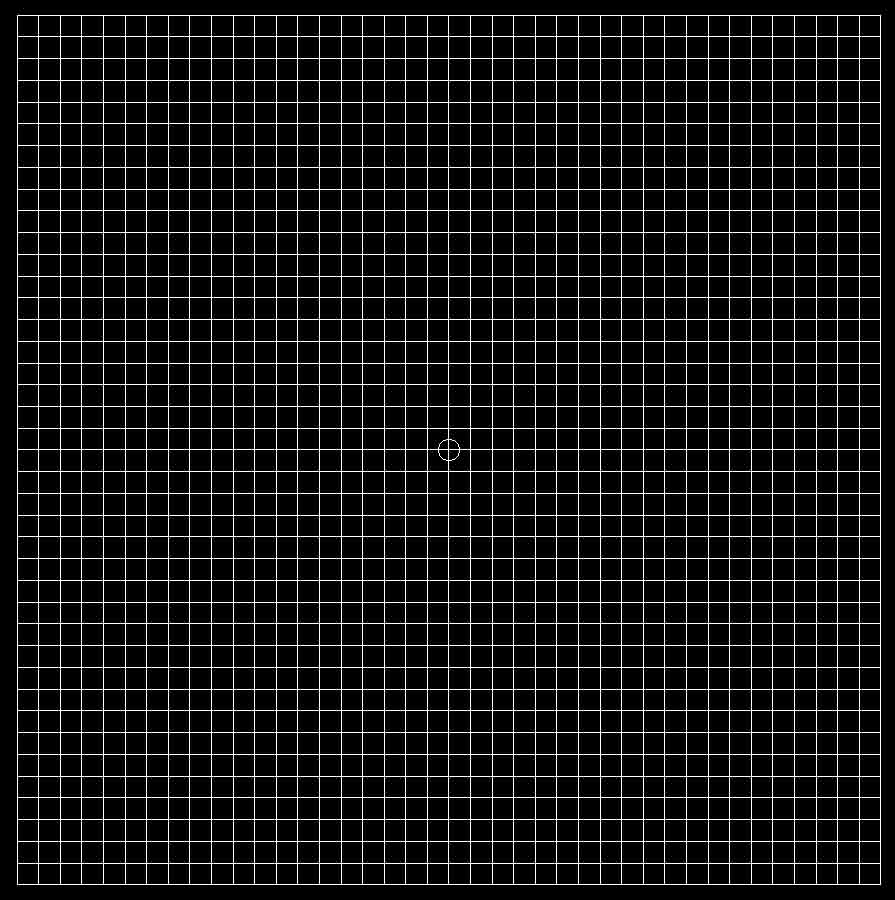 amsler grid small image