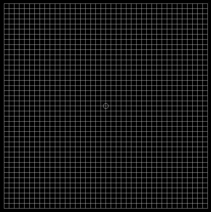 amsler grid small image