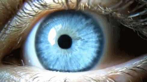 14 Unbelievable Facts About The Human Eye