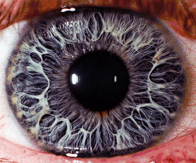 14 Unbelievable Facts About The Human Eye
