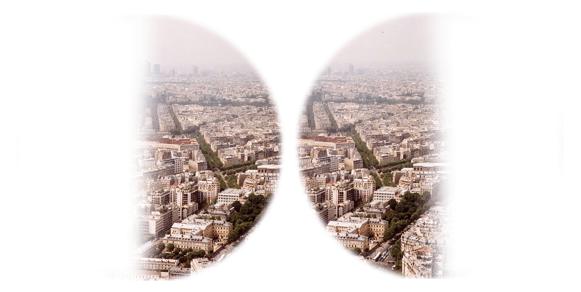 In addition to being upside-down, images arrive at your retina split in half and distorted.