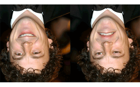 upside down eyes Did you know your retina cannot detect the color red? The “red” receptor detects yellow-green, and the “green” receptor detects blue-green. Your brain combines these signals and turns them into… continue reading •••